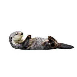 Sea otter floating