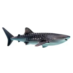 Whale shark with remoras