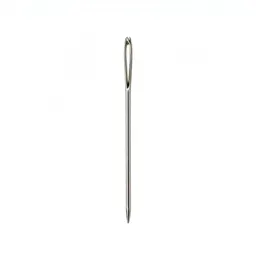 Darning needle
