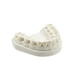 Dental appliance