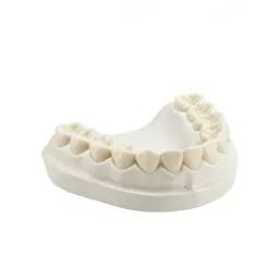 Denture