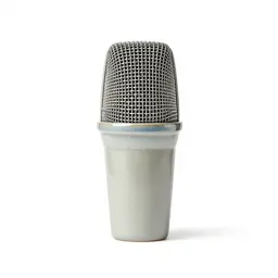 Directional microphone