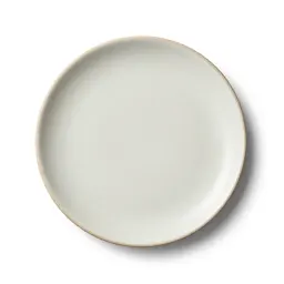 Disk