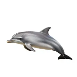 Dolphin striker