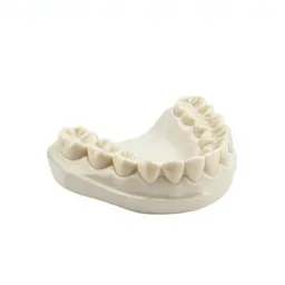 False teeth