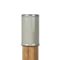 Ferrule