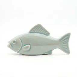Fin