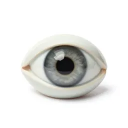 Glass eye