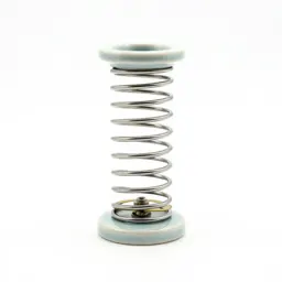 Hairspring