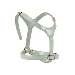 Harness