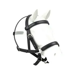 Headgear