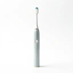 Electric toothbrush