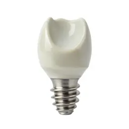 Implant