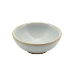 Intraocular lens