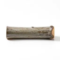 Cinchona