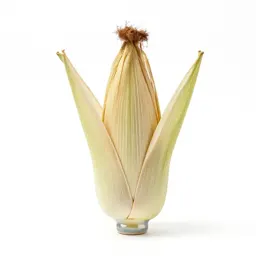 Cornhusk