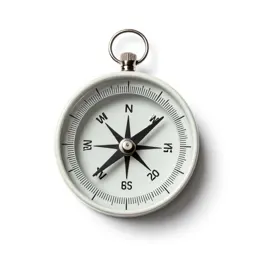 Magnetic compass