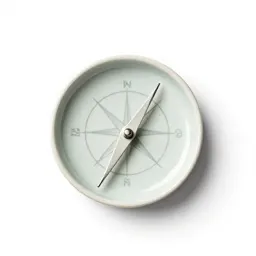 Magnetic needle