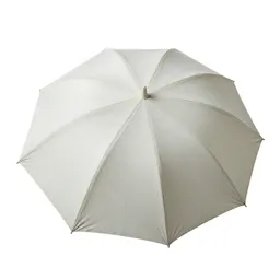 Parasol