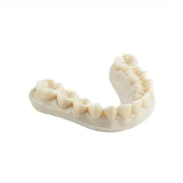 Partial denture