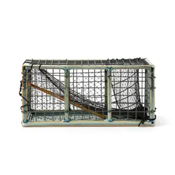 Pound net