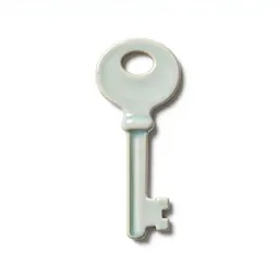 Skeleton key