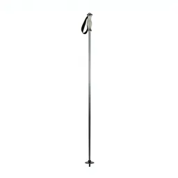 Ski pole