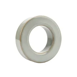 Slip ring