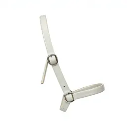 Snaffle
