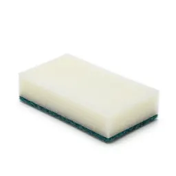 Sponge mop