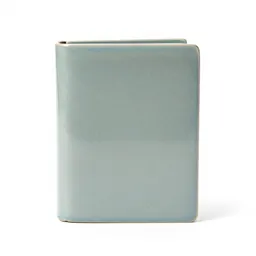 Talking book