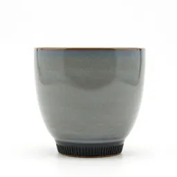 Wide-angle lens