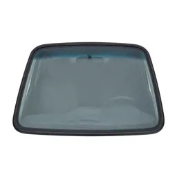 Windshield