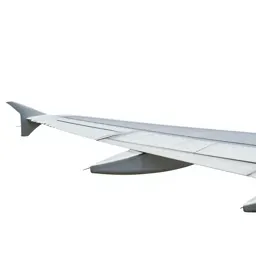 Wing