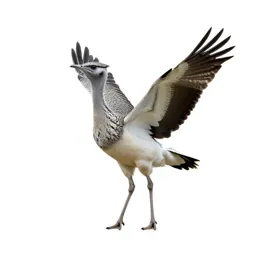 Bustard