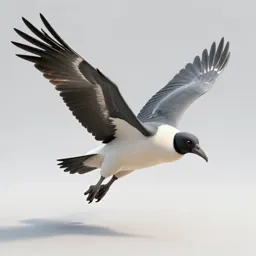 Condor