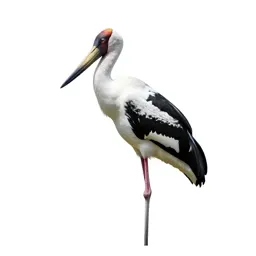 Saddlebill
