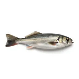 Skimmer