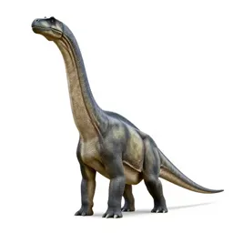 Barosaur