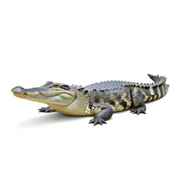 Gavial