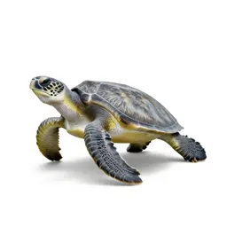 Hawksbill turtle