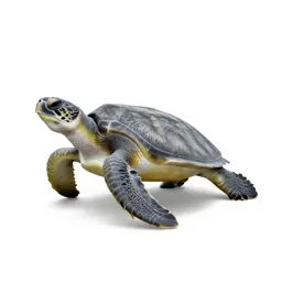 Loggerhead