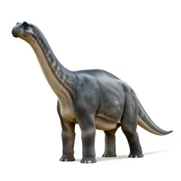Sauropod