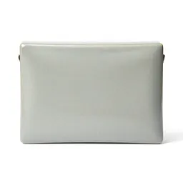 Diplomatic pouch