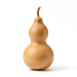Gourd