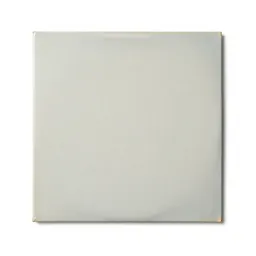 Record sleeve