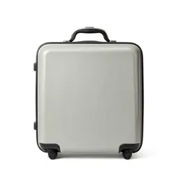 Valise