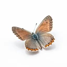 Copper