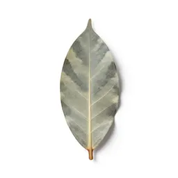 Walking leaf