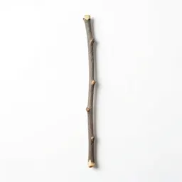 Walking stick